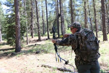 Can You Use A Bow During Rifle Season? What Is Its Benefit?